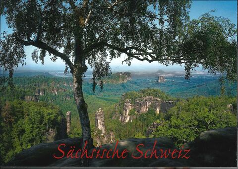 Ansichtskarte Sächsische Schweiz #17308