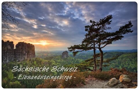 Adam-Magnet #mag08 - Sächsische Schweiz-Elbsandsteingebirge - Falkenstein
