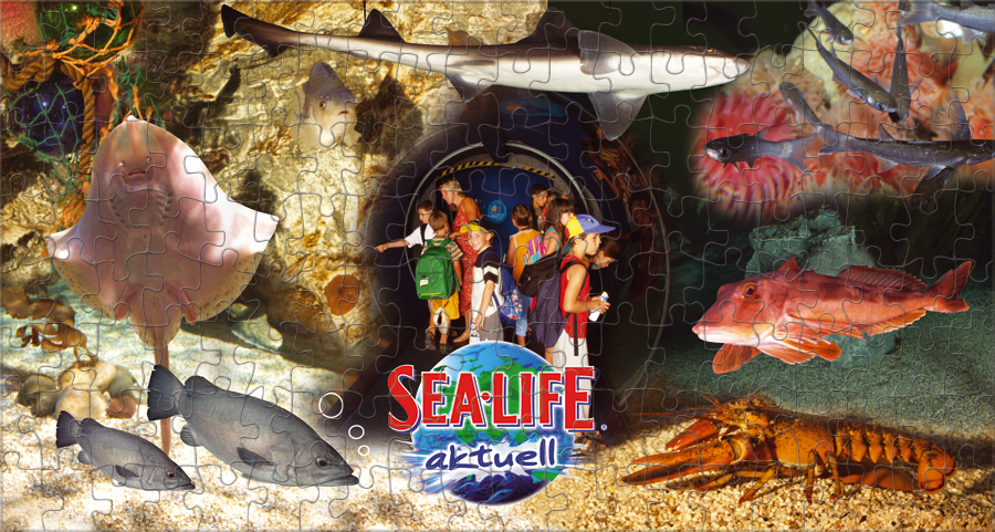 Puzzle-Postkarte für das Sea Life